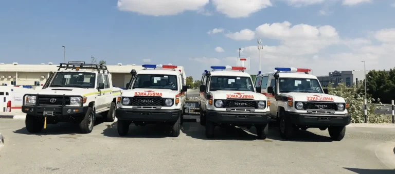 Ambulance Models